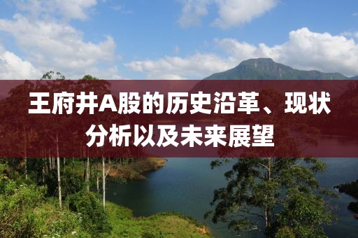 王府井A股的歷史沿革、現(xiàn)狀分析以及未來展望