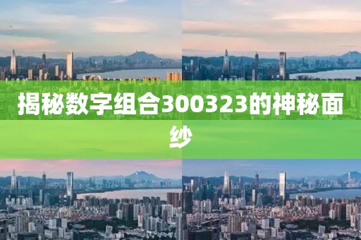 揭秘?cái)?shù)字組合300323的神秘面紗