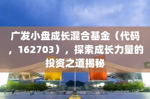 廣發(fā)小盤成長(zhǎng)混合基金（代碼，162703），探索成長(zhǎng)力量的投資之道揭秘