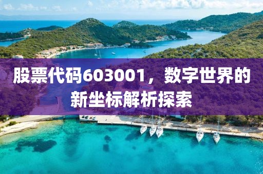 股票代碼603001，數(shù)字世界的新坐標(biāo)解析探索