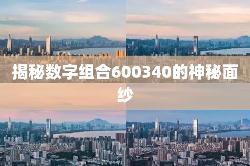 揭秘數(shù)字組合600340的神秘面紗