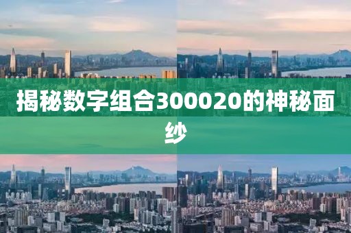 揭秘?cái)?shù)字組合300020的神秘面紗