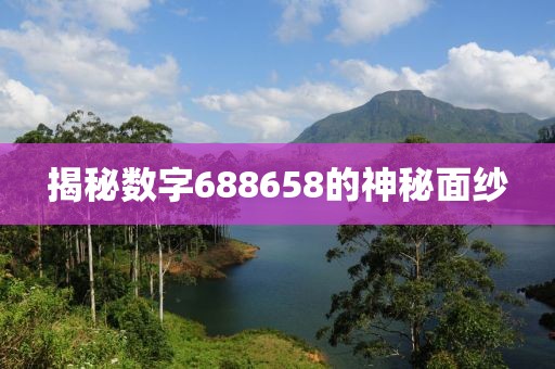 揭秘數(shù)字688658的神秘面紗