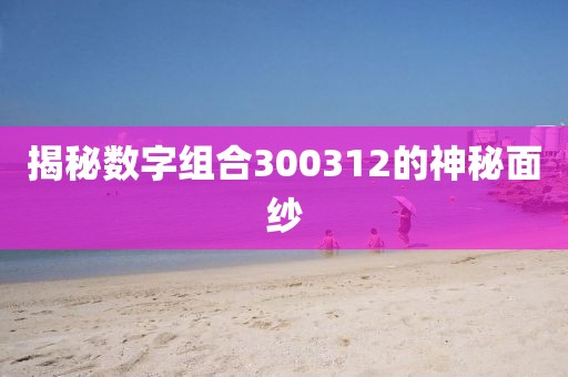 揭秘數(shù)字組合300312的神秘面紗