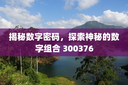 揭秘數字密碼，探索神秘的數字組合 300376