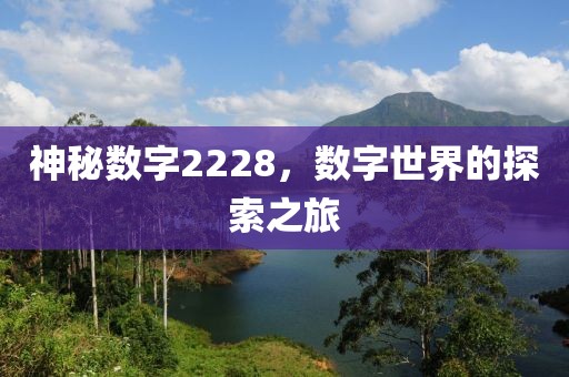 神秘數字2228，數字世界的探索之旅