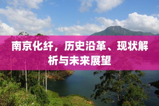 南京化纖，歷史沿革、現狀解析與未來展望