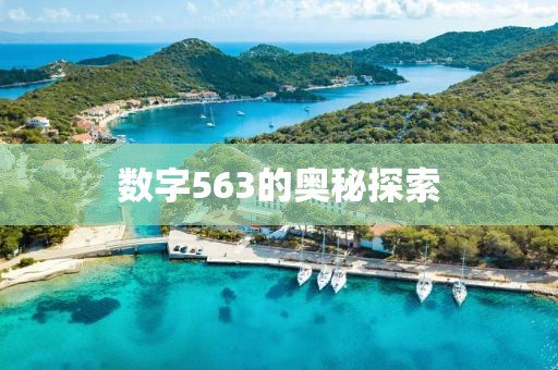 數(shù)字563的奧秘探索