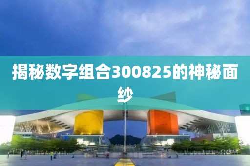 揭秘數(shù)字組合300825的神秘面紗