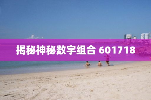 揭秘神秘數字組合 601718