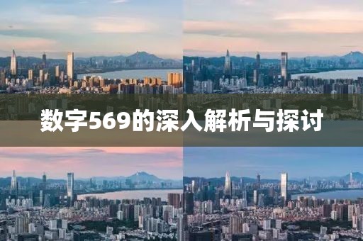 數(shù)字569的深入解析與探討