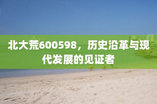 北大荒600598，歷史沿革與現(xiàn)代發(fā)展的見證者