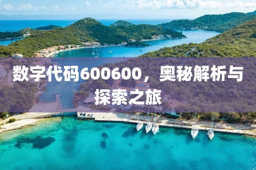 數(shù)字代碼600600，奧秘解析與探索之旅