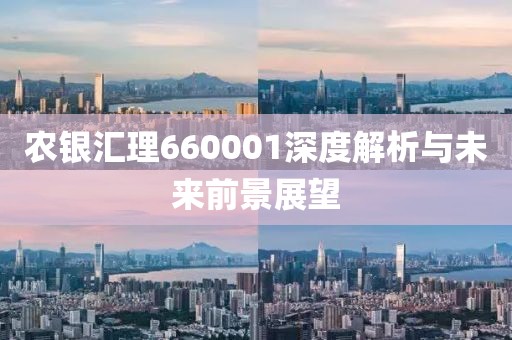 農(nóng)銀匯理660001深度解析與未來前景展望