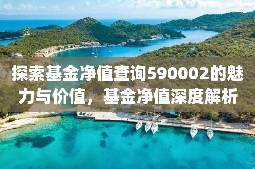 探索基金凈值查詢590002的魅力與價值，基金凈值深度解析