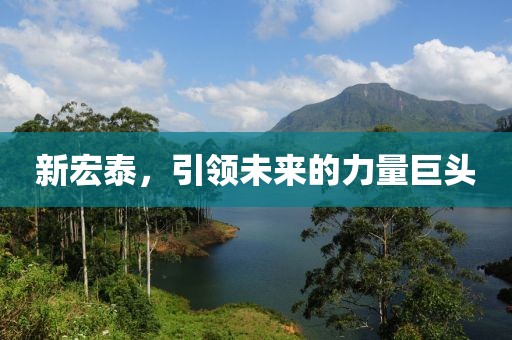 新宏泰，引領(lǐng)未來(lái)的力量巨頭