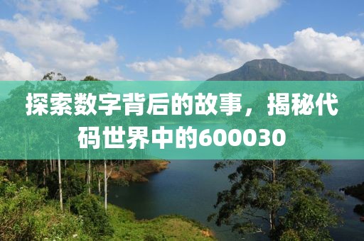 探索數(shù)字背后的故事，揭秘代碼世界中的600030