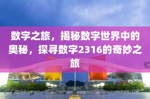 數字之旅，揭秘數字世界中的奧秘，探尋數字2316的奇妙之旅