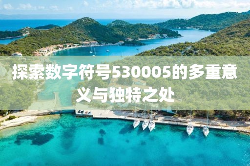 探索數(shù)字符號530005的多重意義與獨(dú)特之處