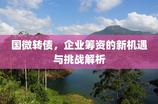 國微轉債，企業(yè)籌資的新機遇與挑戰(zhàn)解析