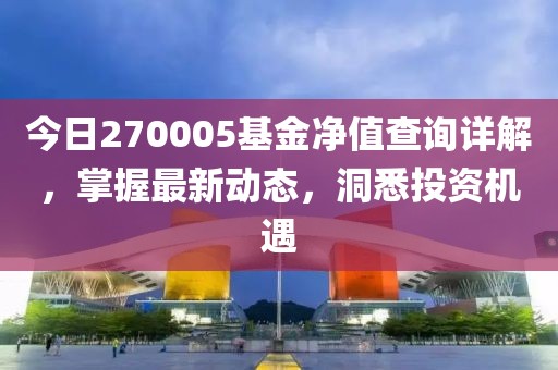 今日270005基金凈值查詢詳解，掌握最新動態，洞悉投資機遇