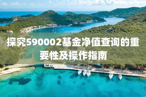 探究590002基金凈值查詢的重要性及操作指南