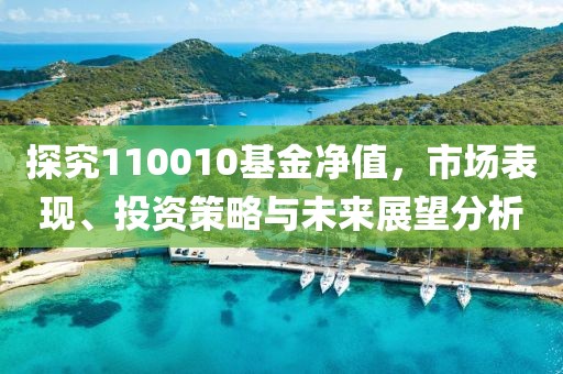 探究110010基金凈值，市場表現、投資策略與未來展望分析