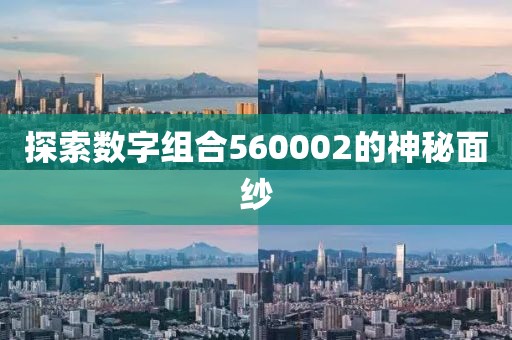 探索數字組合560002的神秘面紗