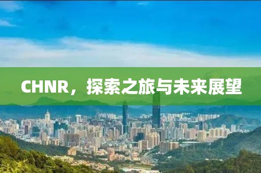 CHNR，探索之旅與未來展望