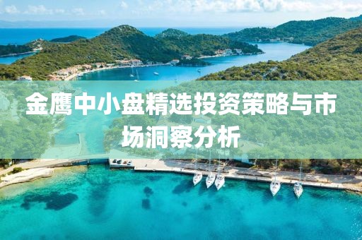 金鷹中小盤精選投資策略與市場洞察分析