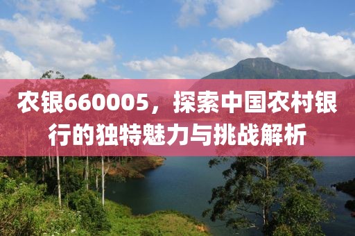 农银660005，探索中国农村银行的独特魅力与挑战解析