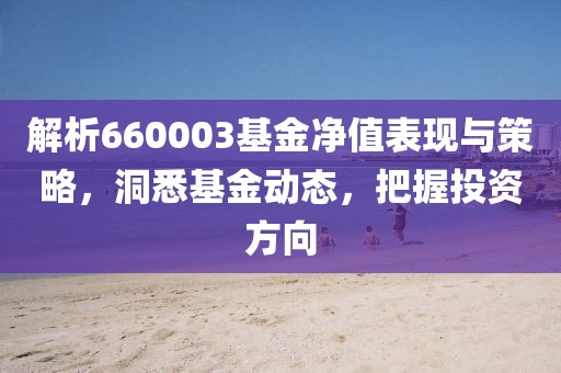 解析660003基金净值表现与策略，洞悉基金动态，把握投资方向