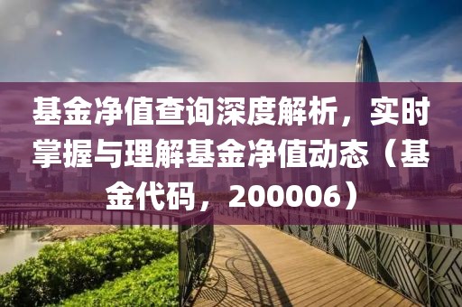 基金凈值查詢深度解析，實時掌握與理解基金凈值動態（基金代碼，200006）