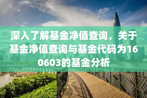 深入了解基金凈值查詢，關于基金凈值查詢與基金代碼為160603的基金分析