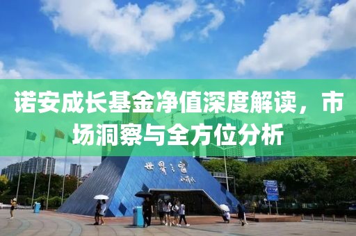 諾安成長基金凈值深度解讀，市場洞察與全方位分析