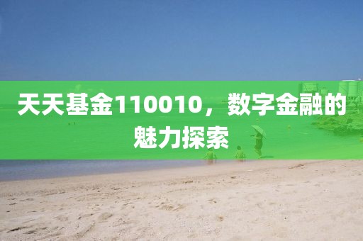 天天基金110010，數(shù)字金融的魅力探索