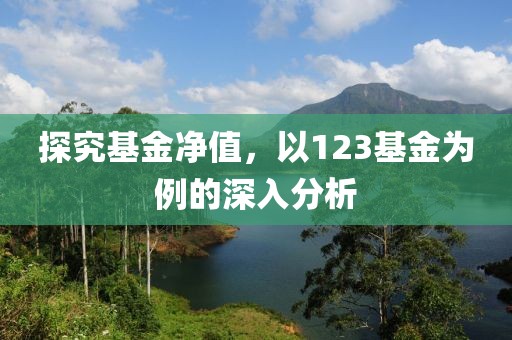 探究基金凈值，以123基金為例的深入分析