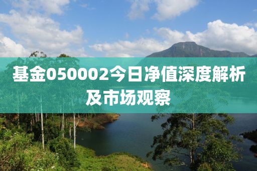 基金050002今日凈值深度解析及市場觀察