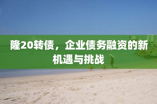 隆20转债，企业债务融资的新机遇与挑战