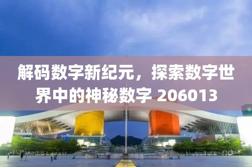 解码数字新纪元，探索数字世界中的神秘数字 206013