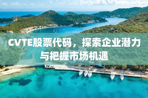 CVTE股票代碼，探索企業(yè)潛力與把握市場機遇