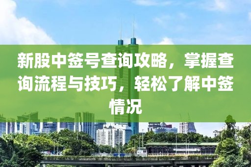 新股中簽號查詢攻略，掌握查詢流程與技巧，輕松了解中簽情況