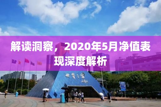 解讀洞察，2020年5月凈值表現(xiàn)深度解析