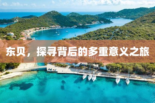 東貝，探尋背后的多重意義之旅