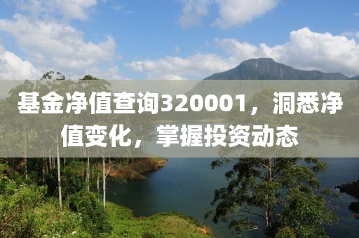 基金凈值查詢320001，洞悉凈值變化，掌握投資動(dòng)態(tài)