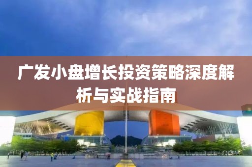 广发小盘增长投资策略深度解析与实战指南