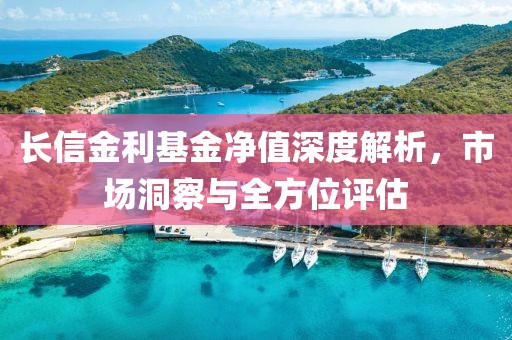 長信金利基金凈值深度解析，市場洞察與全方位評估