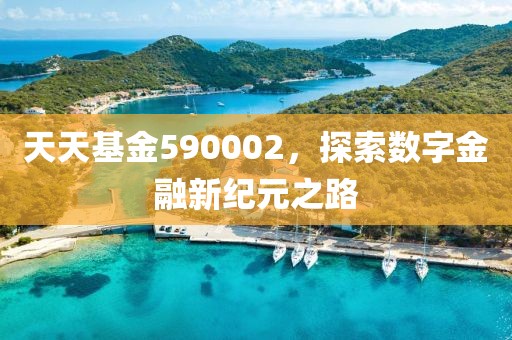 天天基金590002，探索數(shù)字金融新紀(jì)元之路