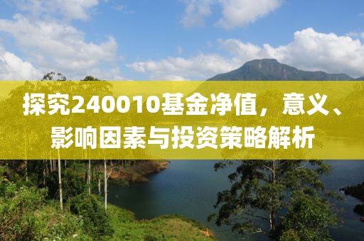 探究240010基金凈值，意義、影響因素與投資策略解析