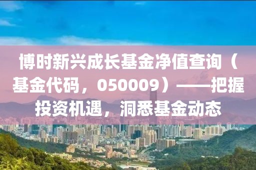 博時(shí)新興成長基金凈值查詢（基金代碼，050009）——把握投資機(jī)遇，洞悉基金動態(tài)